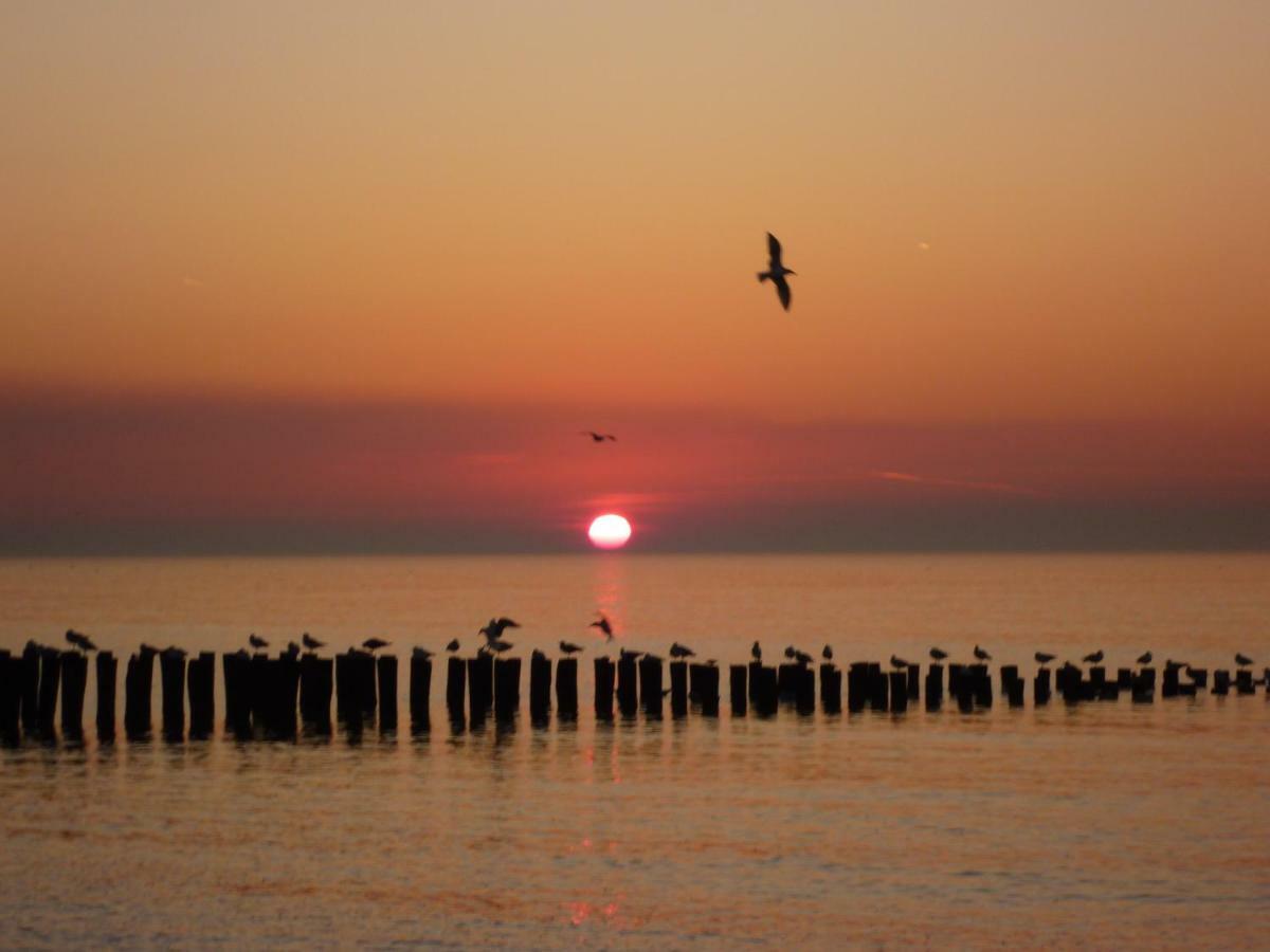 Vakantiehuis Domburg, Kindvriendelijk Do02 Exteriér fotografie